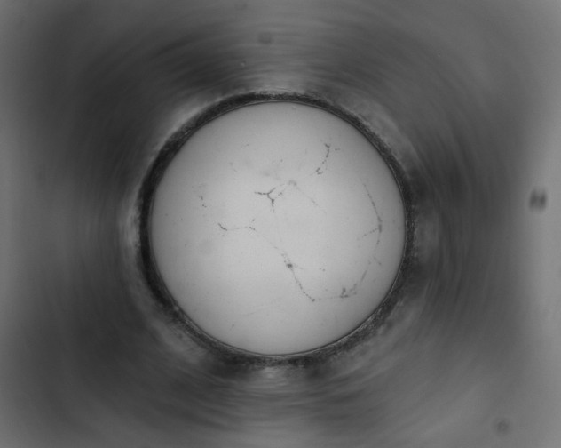X0000103930584200809261705