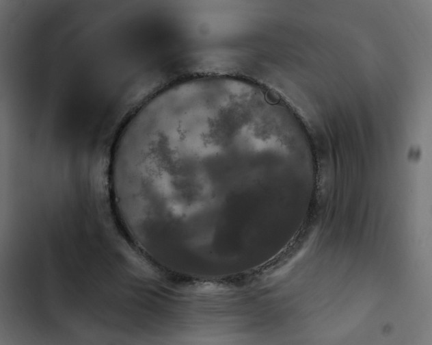 X0000103930585200809261705