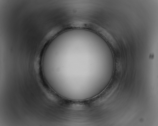X0000103930586200809261705