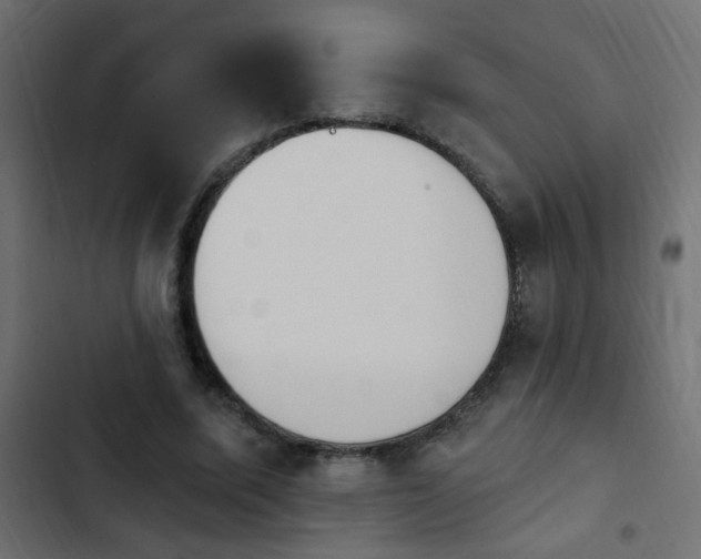 X0000103930587200809261705