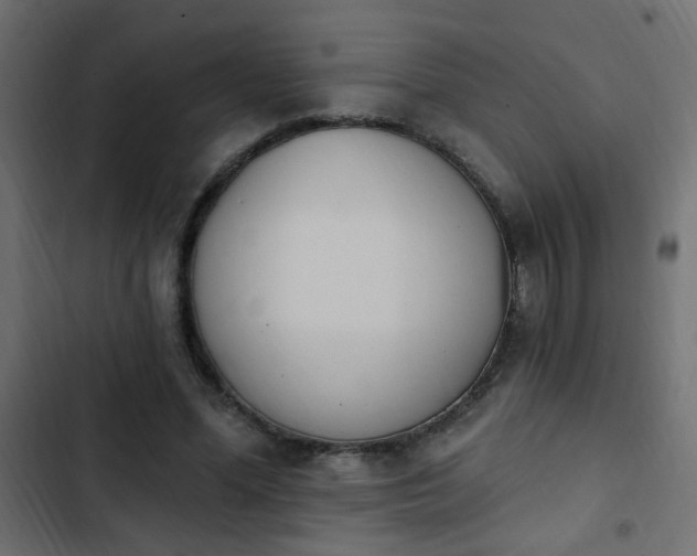 X0000103930588200809261705