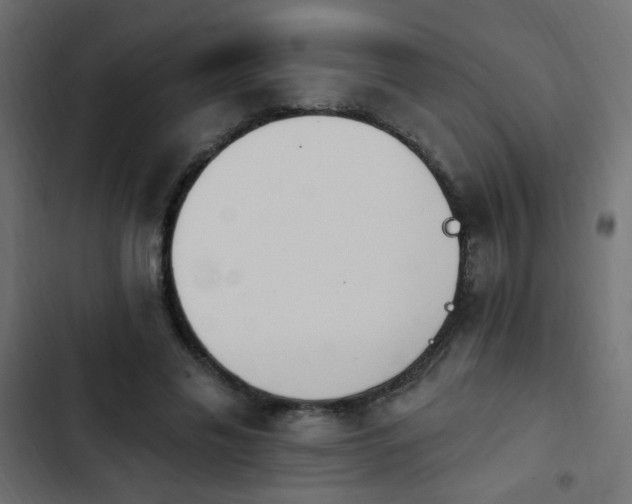 X0000103930589200809261705