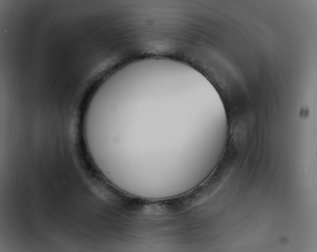 X0000103930591200809261705