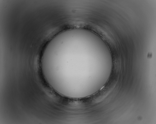 X0000103930594200809261705