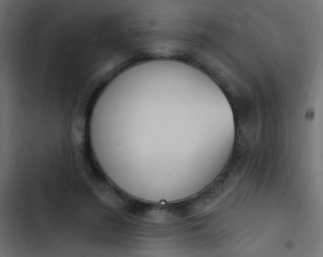 X0000103930596200809261705