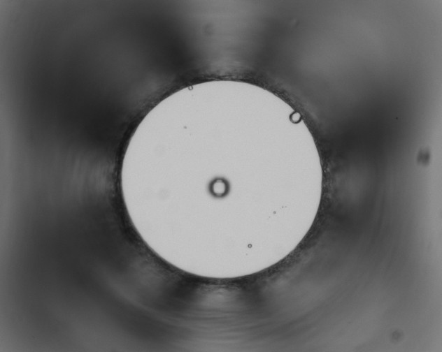 X0000103930597200809261705