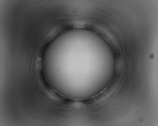 X0000103930598200809261705