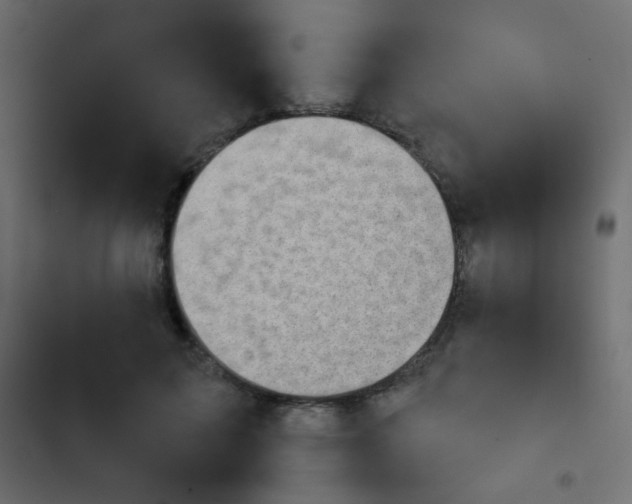 X0000103930599200809261705