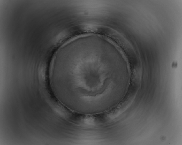 X0000103930600200809261705