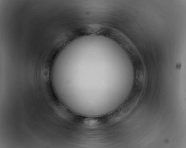 X0000103930602200809261705