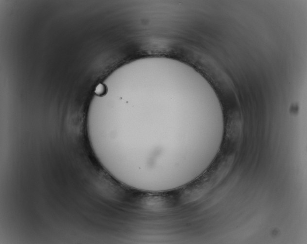 X0000103930604200809261705