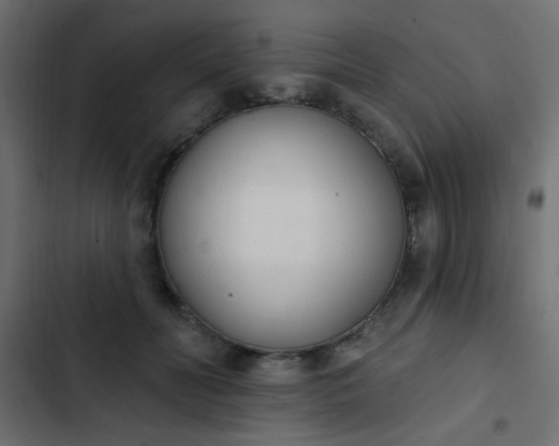 X0000103930606200809261705