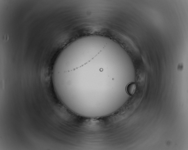 X0000103930607200809261705