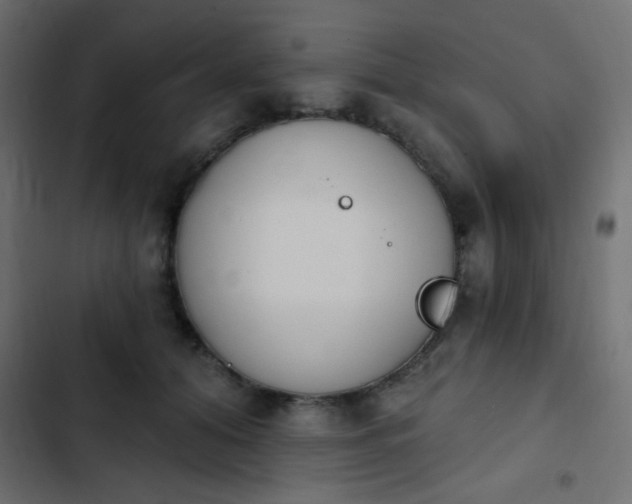 X0000103930608200809261705