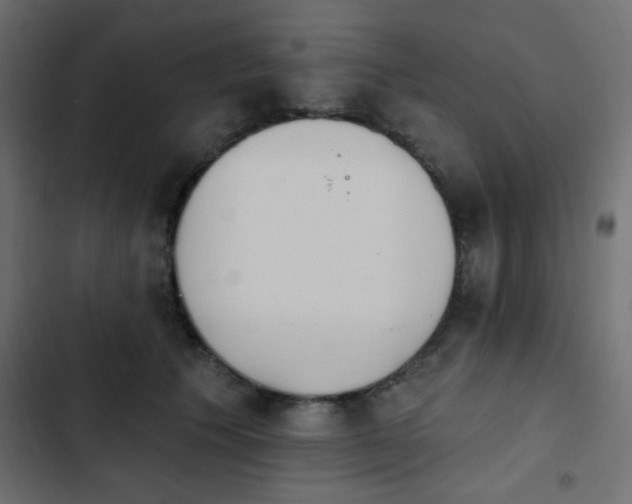 X0000103930609200809261705