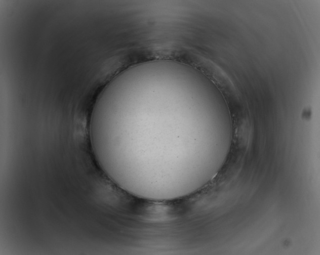 X0000103930610200809261705