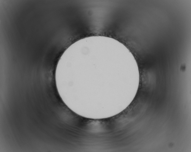 X0000103930611200809261705