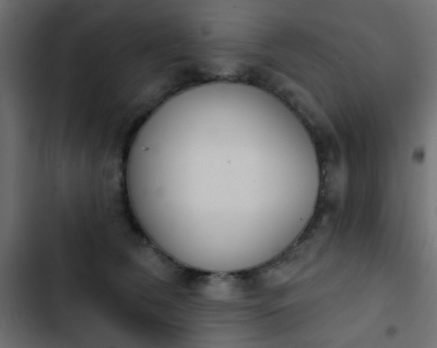 X0000103930612200809261705