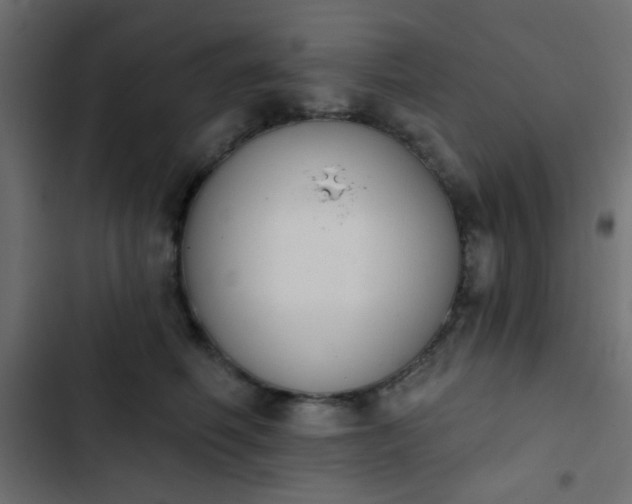 X0000103930614200809261705