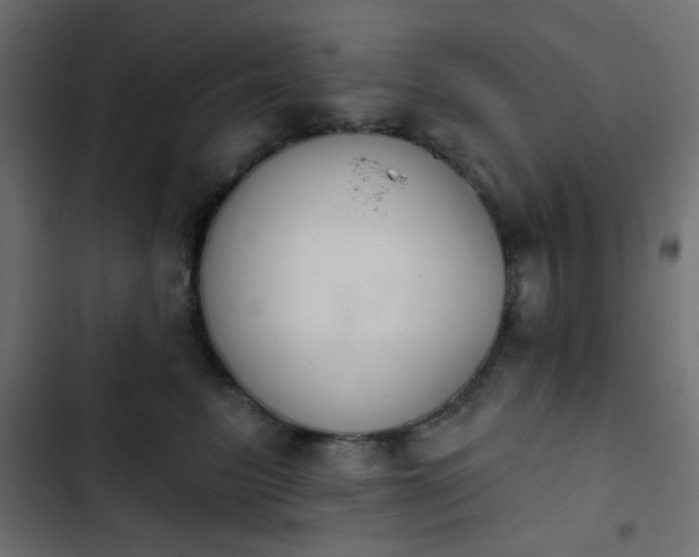 X0000103930615200809261705