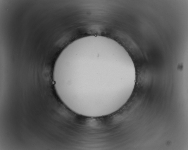 X0000103930616200809261705