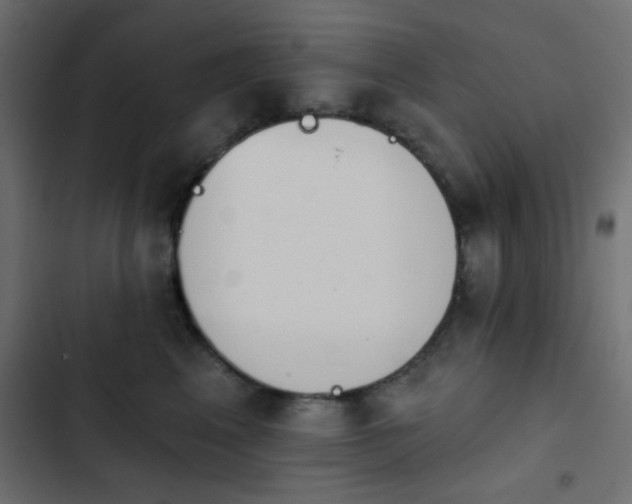 X0000103930617200809261705