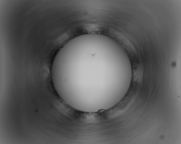 X0000103930618200809261705