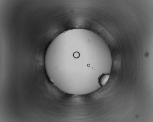 X0000103930620200809261705