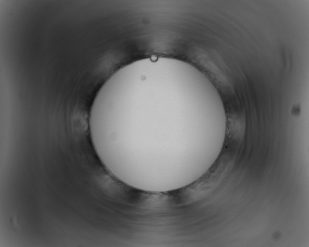X0000103930621200809261705