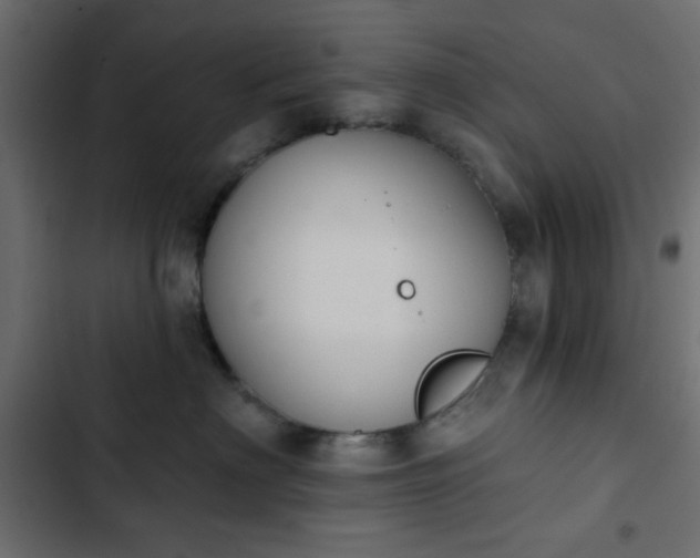 X0000103930622200809261705
