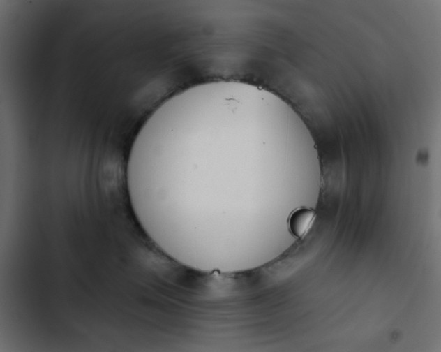 X0000103930623200809261705
