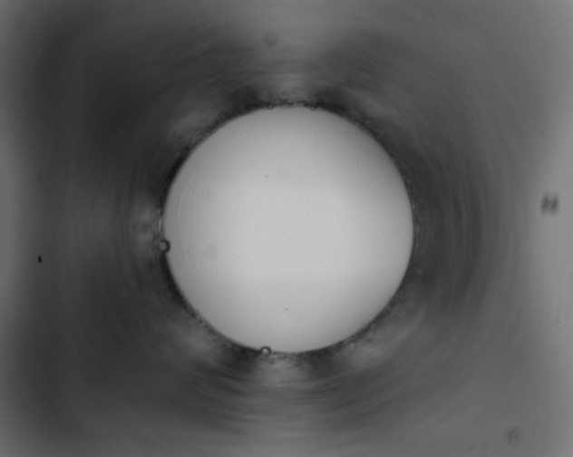 X0000103930624200809261705