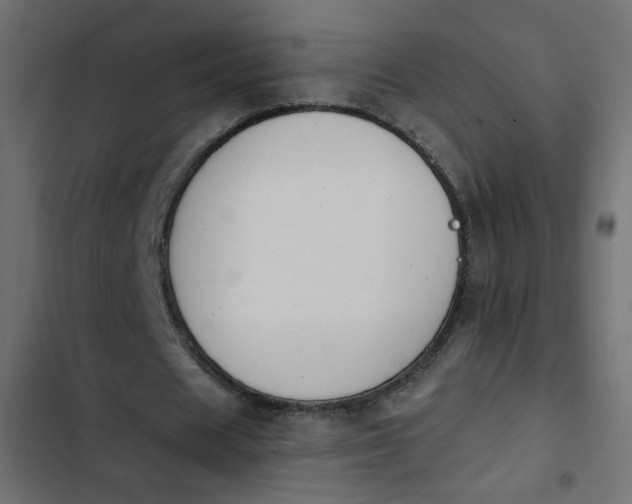X0000103930625200809261704