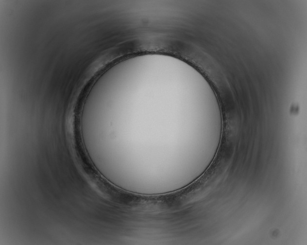 X0000103930626200809261704
