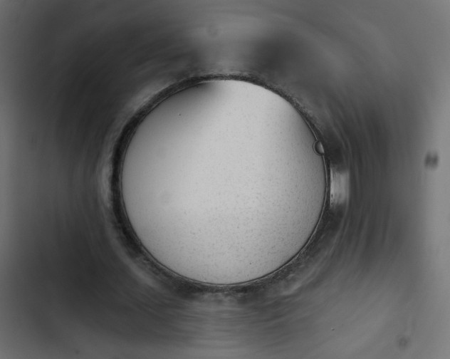 X0000103930627200809261704