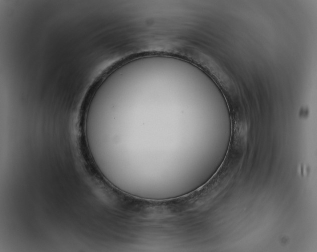 X0000103930628200809261704