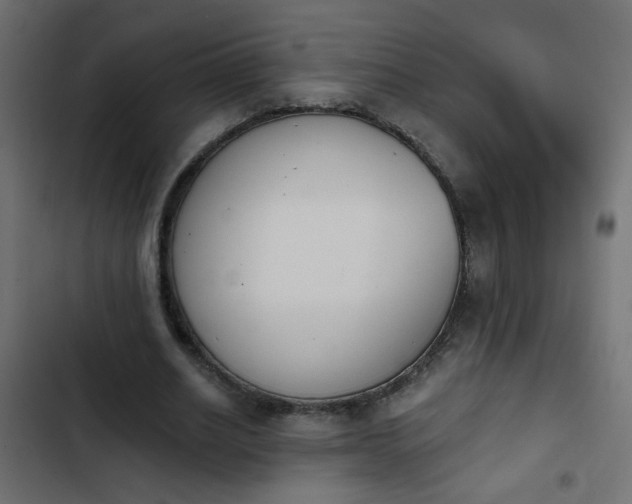 X0000103930630200809261704