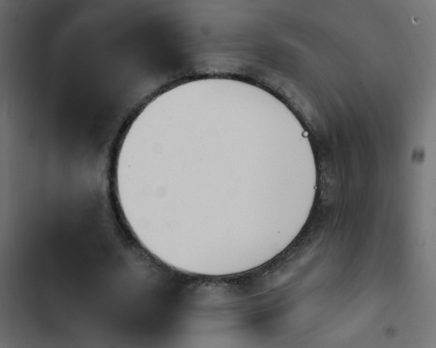 X0000103930631200809261704