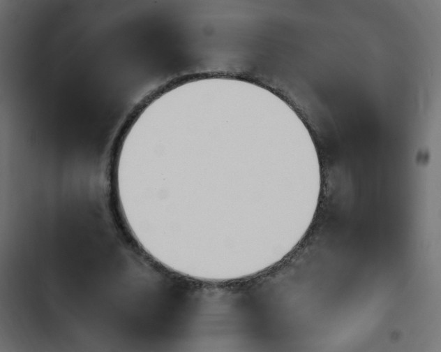 X0000103930632200809261704
