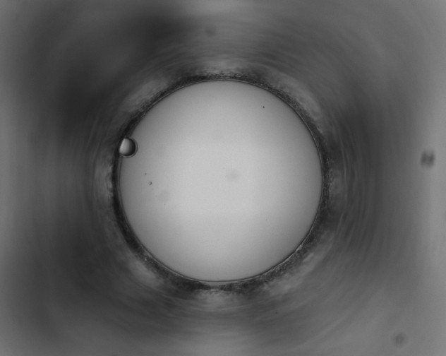 X0000103930633200809261704