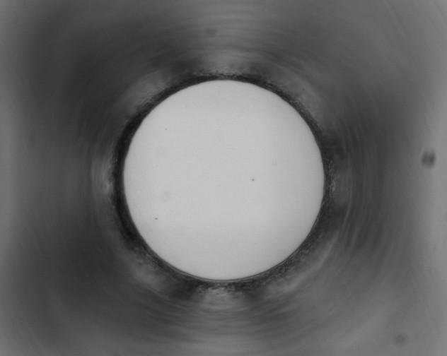 X0000103930635200809261704