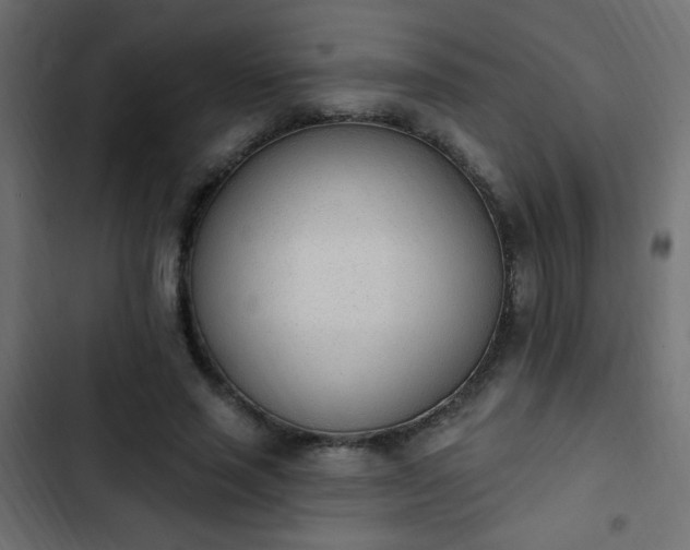 X0000103930637200809261704