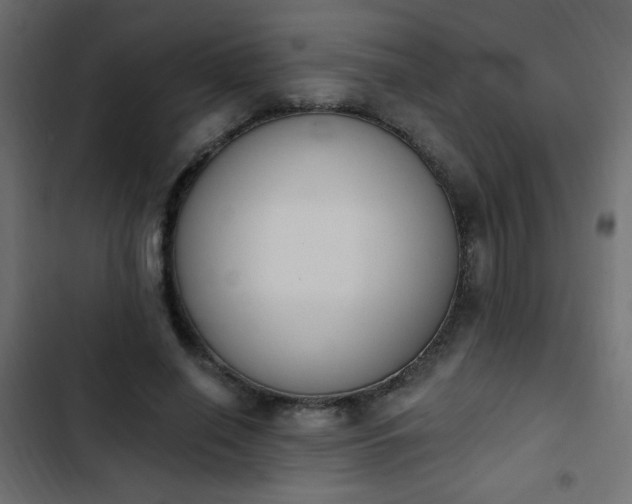X0000103930638200809261704