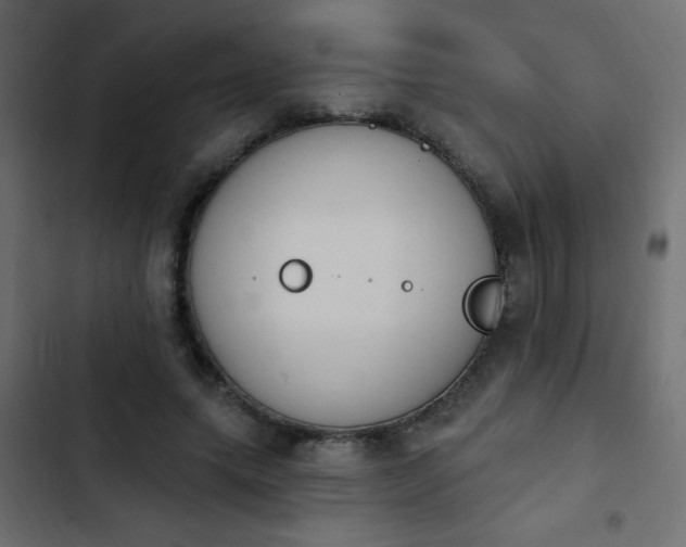 X0000103930639200809261704