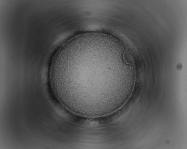 X0000103930640200809261704