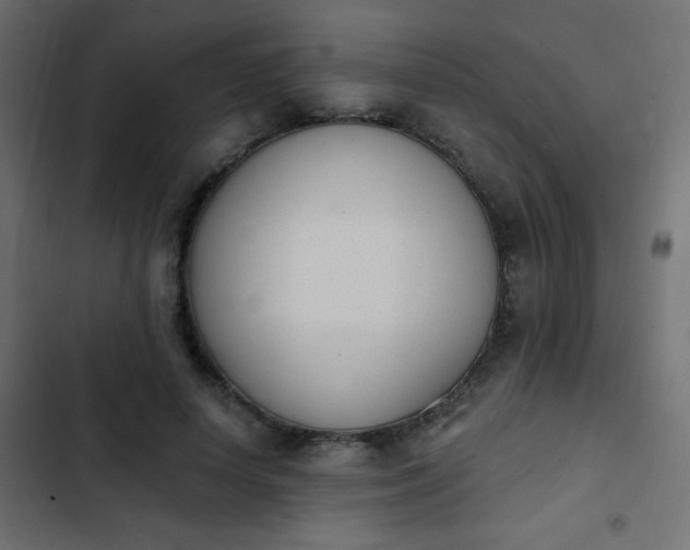 X0000103930642200809261704