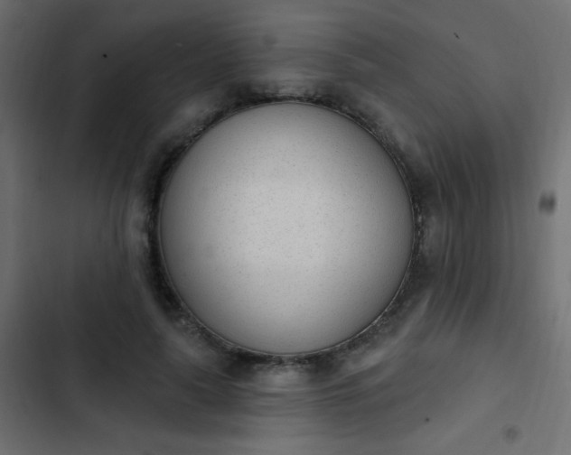 X0000103930643200809261704