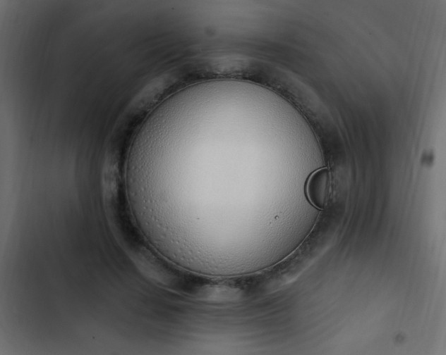 X0000103930644200809261704