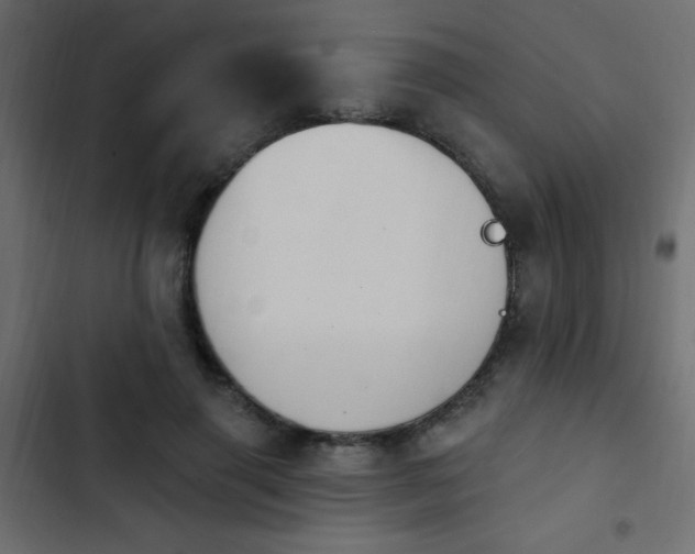 X0000103930645200809261704