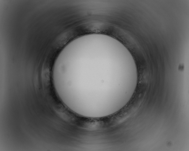 X0000103930646200809261704